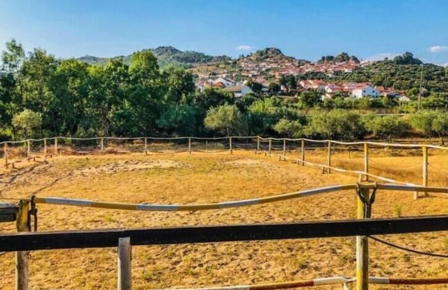 Casa Vinte & Cinco - Alojamento Local - Foto 34