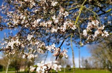 Gîte de la Petite vallée - Foto 21