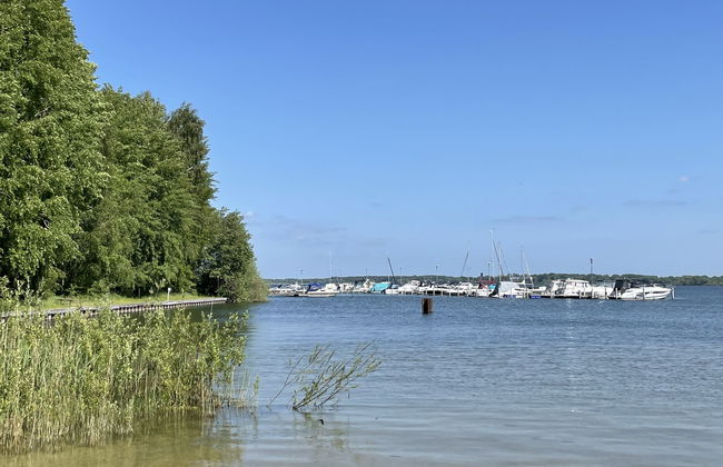 Silz am Fleesensee - Foto 14