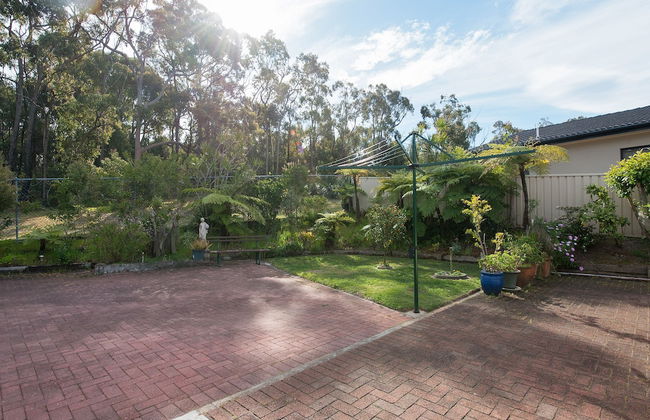 Wildflowers at Fingal Bay - Photo 15