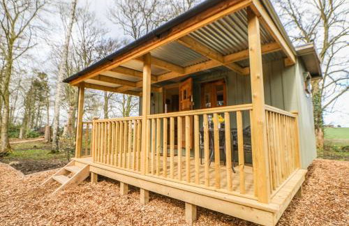 Bracken Fern - Photo 3