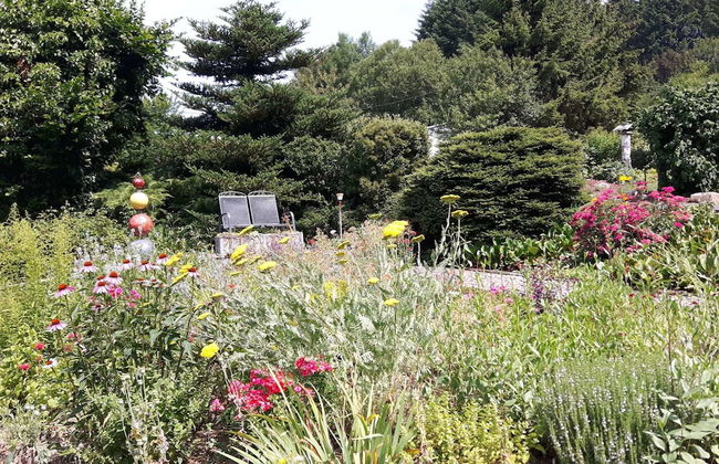 Sellerich Forest Hideaway - Foto 27