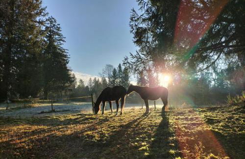 Gite les Baudy - group for 20 people - Foto 37