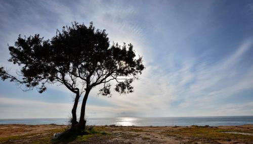 Elizabeth Country House - Foto 3