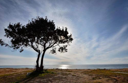 Elizabeth Country House - Foto 3