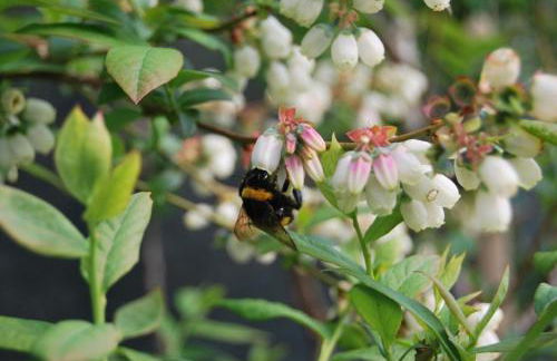 Tenuta Fortelongo - Foto 103
