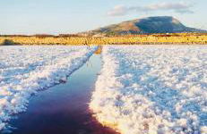 Casa vacanza La rosa dei venti - Foto 23