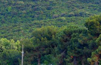 NikoleTakis Apartments - Foto 38