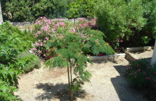 Residence Motel Corsicana - Foto 71