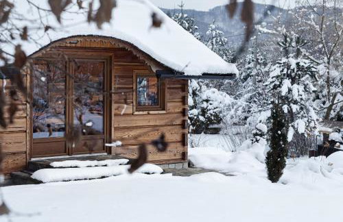 Dzikie południe - Foto 22