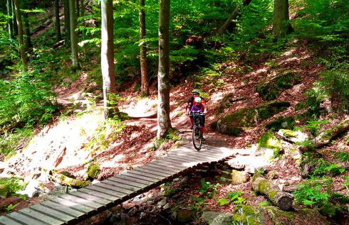 Dom Geologa - Foto 60