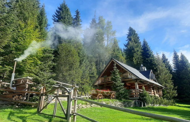 Leśna Bacówka Mountain Chalet - Foto 34