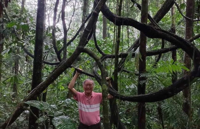 AYAWASKA ATRACTIVO SACHA WASI - Foto 4