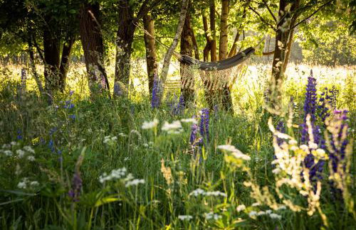 Butterfly Factory - Foto 54