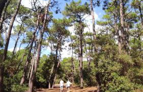 Appartement 2 pièces dans résidence bord de mer aux Sables d'Olonne - Foto 17