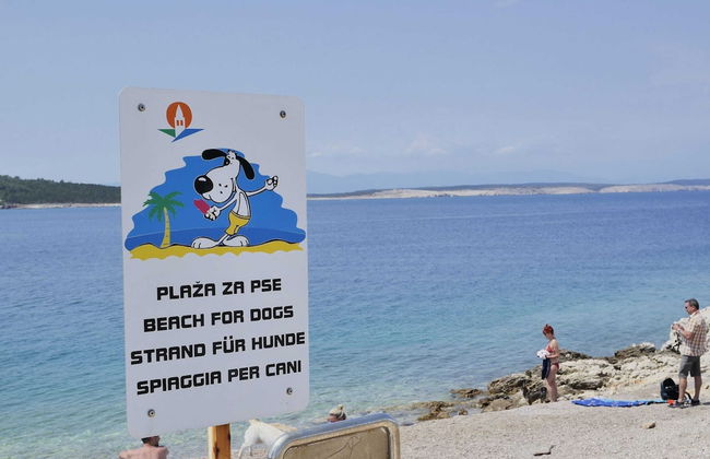 Apartment in Silo Near Sea Beach - Foto 22