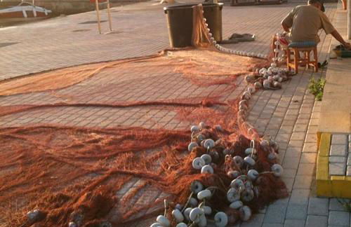 Calamilloraptm2 - Foto 33