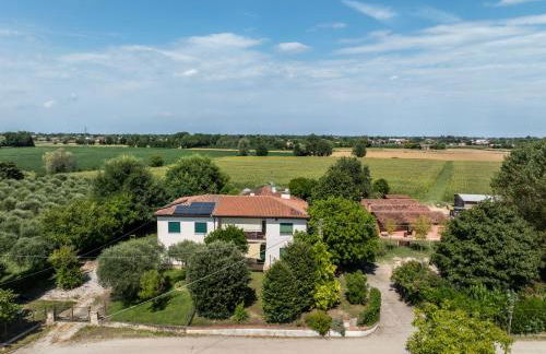 Agriturismo San Bartolomeo - Foto 53