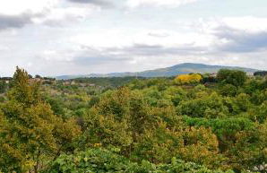 Pieve Suites - Photo 16