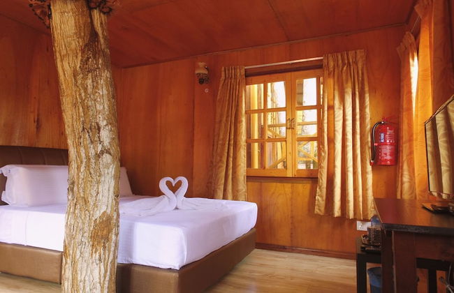 Borneo Tree House - Foto 7