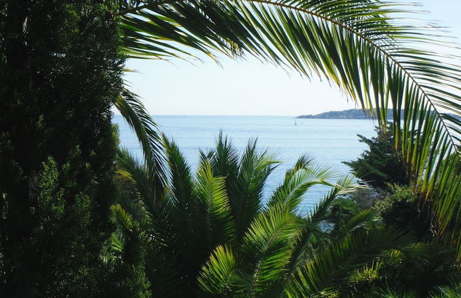 Lou Trelus - Foto 43