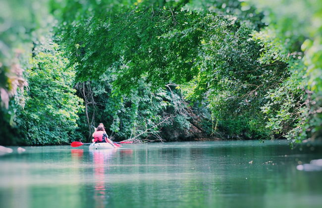 19 Son's Geronimo - Birdhouse Cabin - Photo 47