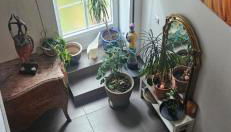 Esprit Loft - Foto 2