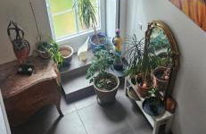 Esprit Loft - Foto 2