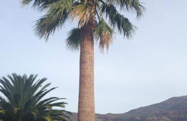 Casa Dos Cabecinhos - Foto 53