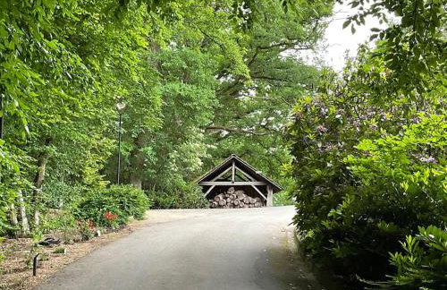 Etzauer Mühle im Taunus, Mensch-Zeit-Pferd - Foto 6