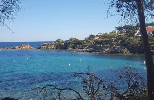 Villa Le Patio à 20 m de la mer - Foto 67