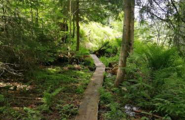 Ferienhaus Auszeit mit Terrasse - Foto 20