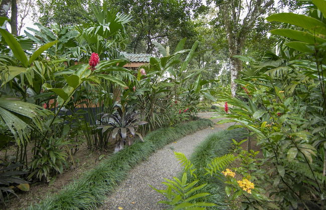 Eden Organic Farm & Bungalows - Foto 62