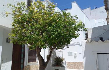 Casa El Cuartel with private seaview rooftop - Foto 24