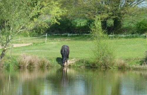 Maison de campagne avec étang, animaux acceptés, jardin privé - FR-1-489-293 - Foto 12