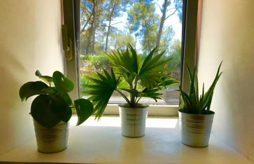 Mas Misajail - Foto 16