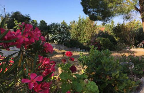 Despina Studios and Apartments - Photo 28