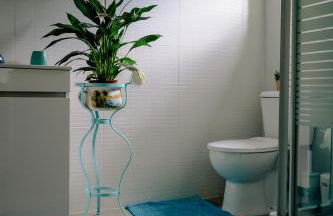 Tea House Gerês - T1 Hipericão - Foto 11