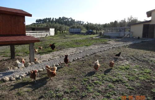 Agriturismo Fieri - Foto 23