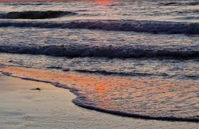 Przystań 46 - Foto 48