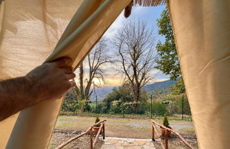 Agriturismo Tassinaia - Foto 4