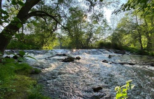 Nature Escape in Meisdorf - Foto 79