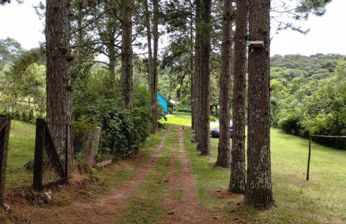 Sitio dos pinhais - Photo 9