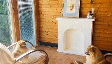 Kuća Šuma - Foto 2