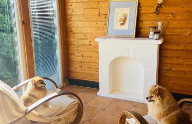 Kuća Šuma - Foto 2