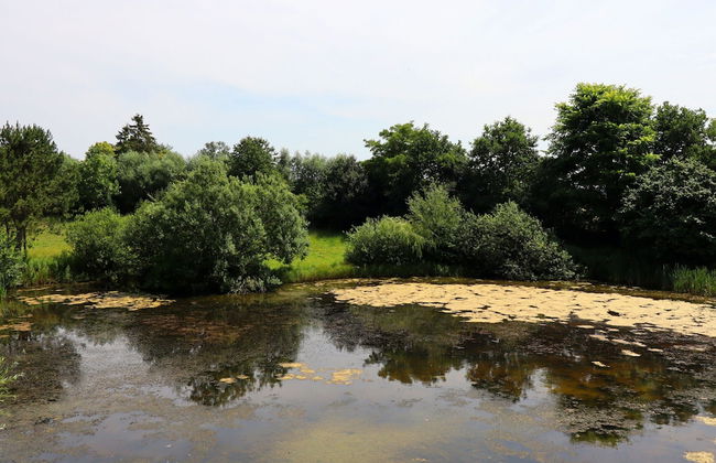 Besondere Ferienwohnung Bibliothek in Buschhagen - Photo 37