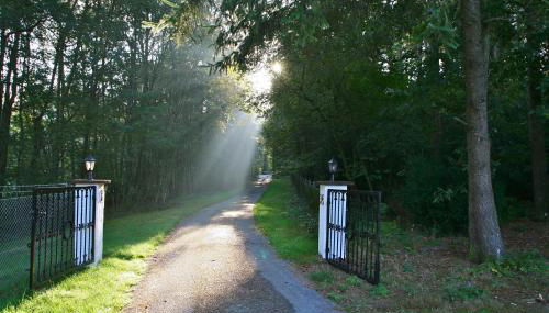 Ferienwohnung Huus ton witten Barg - Foto 2, Other