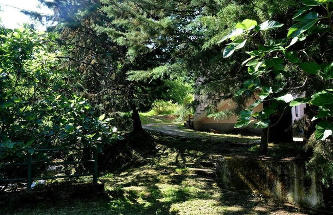 Il Ruscello di Ceraso - Foto 16