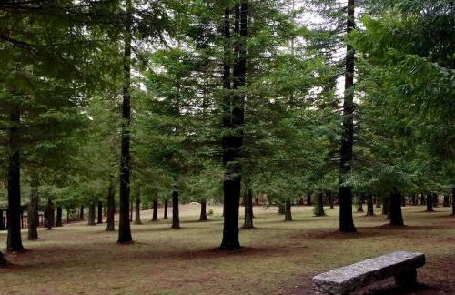 Casa Elvira, terraza con fabulosas vistas - Foto 46