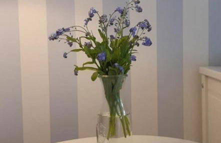 HeidAway Sylt - Schönes Appartment mit Terrasse/Garten - Foto 11